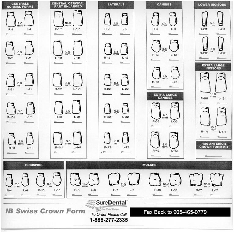 IB Swiss Crown Forms Sure Dental